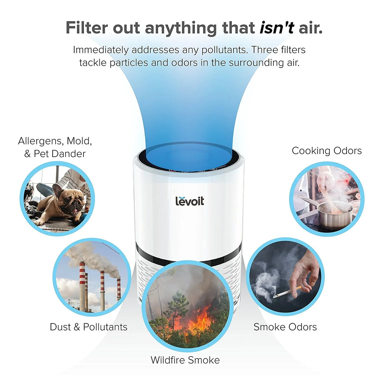 LEVOIT LV-H132 Air Purifier with True Hepa Filter for Smoke, Bacteria, and More