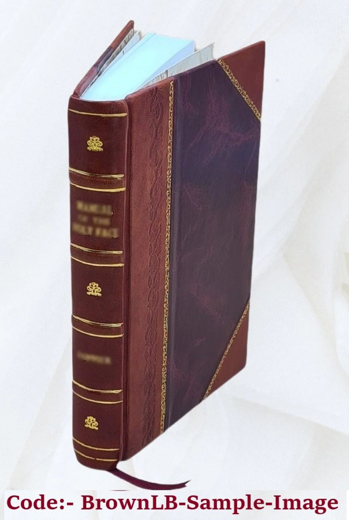 Die koimesiskirche in Nicäa und ihre Mosaiken nebst den verwandten kirchlichen Baudenkmälern Volume c.1 1903 [Leather Bound]