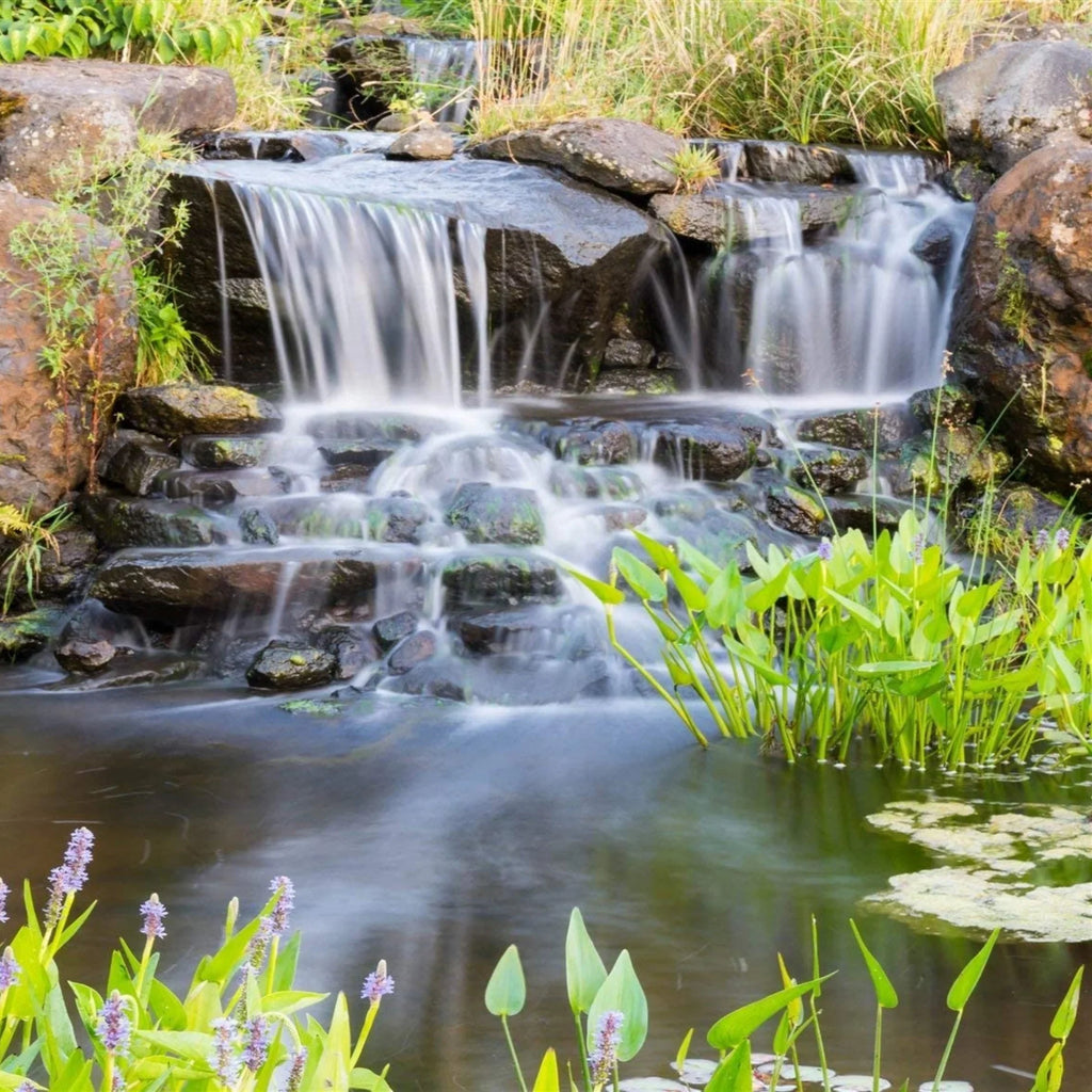 HALF OFF PONDS Piranha Series 5,500 GPH Direct Drive Submersible Pump for moisture Gardens, Ponds and Waterfalls - PN-5500