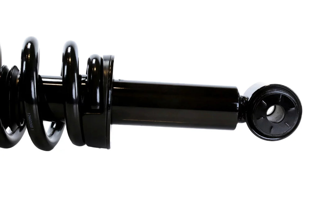 AutoShack Front Complete Struts and Coil Springs Set of 2 Driver and Passenger Side Replacement for 2009 2010 2011 2012 2013  F-150 3.5L 3.7L 4.6L 5.0L 5.4L V6 V8 4WD CST100203PR