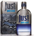 JUST CAVALLI * Roberto Cavalli 3.0 oz / 90 ml EDT Men Cologne Spray