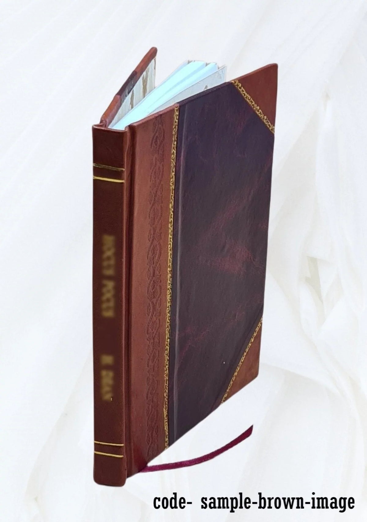 1975 [Leather Bound]. Cochrane. Natural hazards and their distributive effects : a research assessment / Harold C