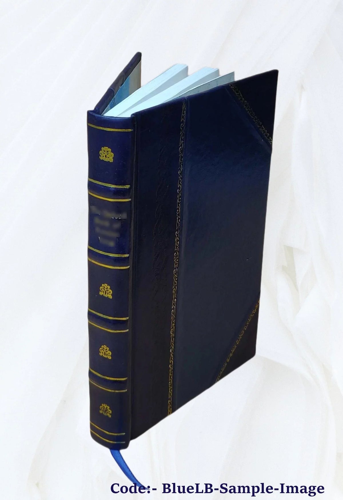 Volume v.23-25 (1909-12) 1912 [Leather Bound]. The Nautilus
