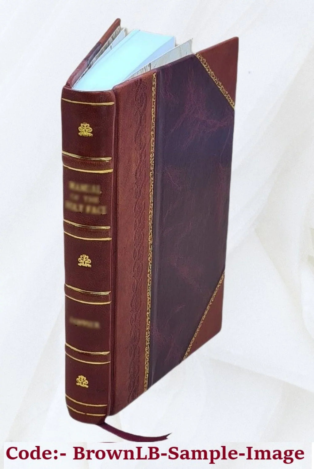 1877 [Leather Bound]. Historic chateaux: Blois, Fontainebleau, Vincennes / by Alexander Baille Cochrane, M.P