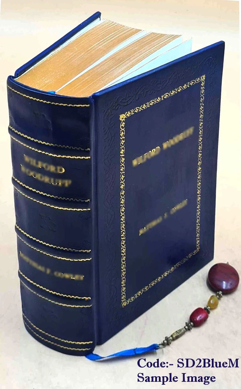 Cinderella three hundred and forty-five variants of Cinderella, Catskin, and Cap o'Rushes 1893 [Premium Leather Bound]
