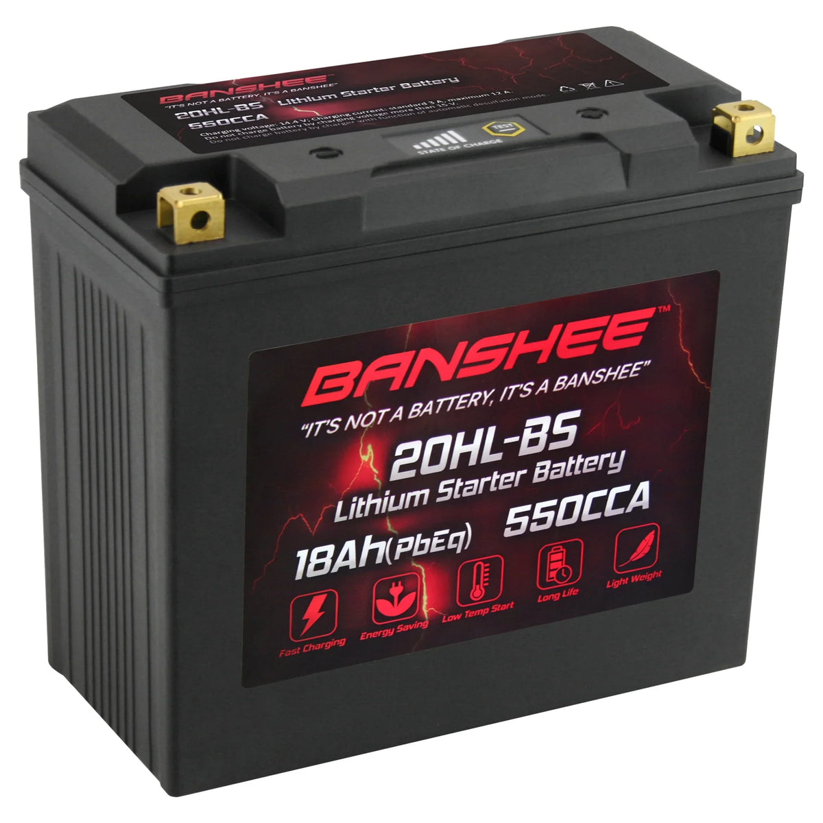 Banshee YTX20L-BS LiFePO4 Motorsports Battery matching with CAN-AM Renegade 800R 2013 to 2015