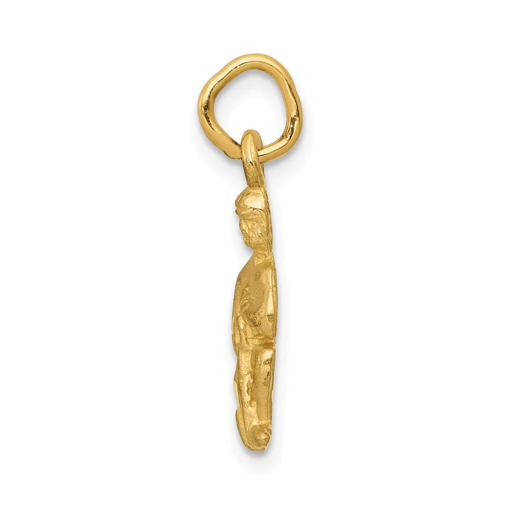 FJC Finejewelers 10 kt Yellow Gold Aquarius Zodiac Charm 20 x 8 mm