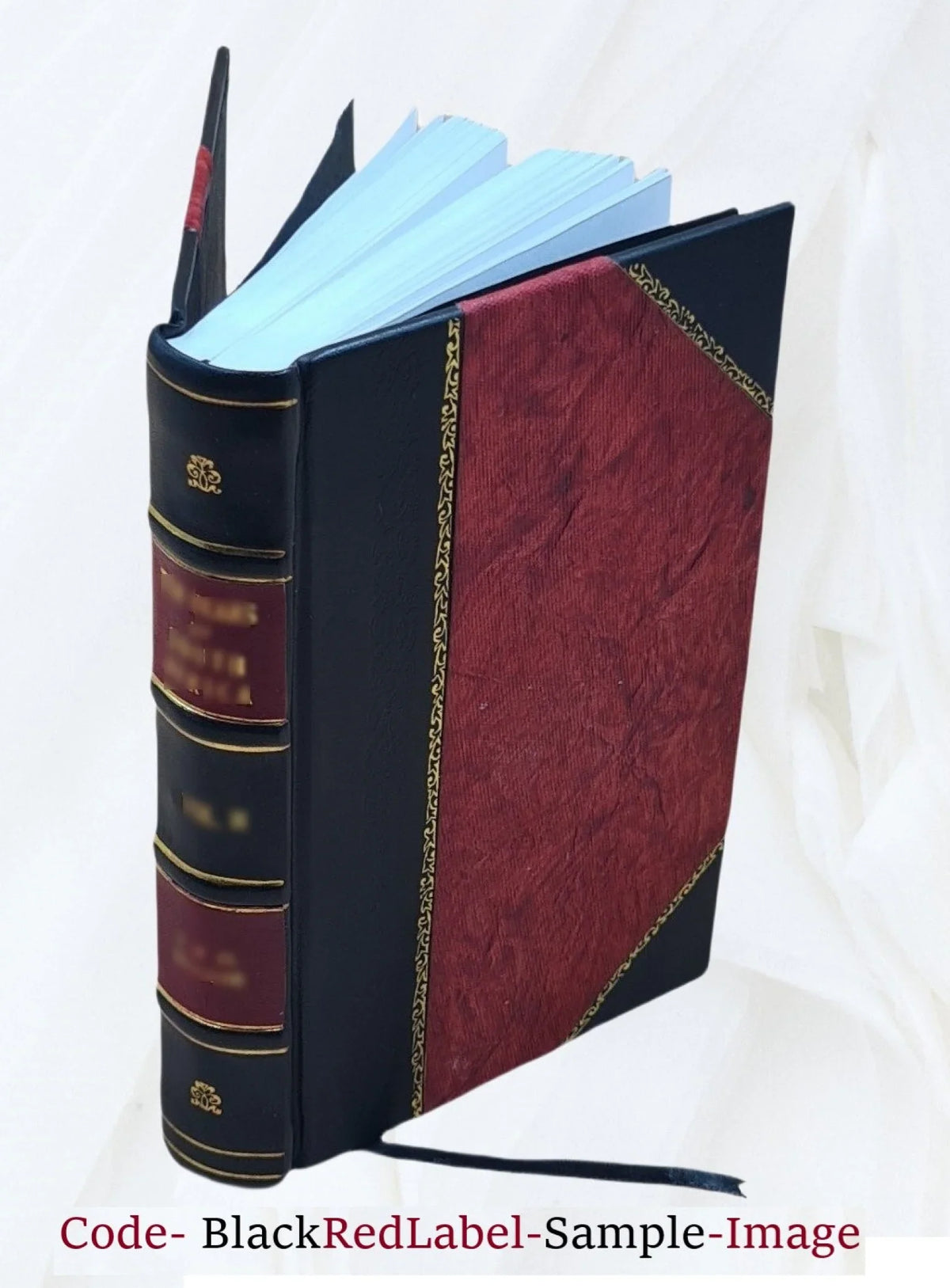 1912 [Leather Bound]. Martin; illustrated from photographs. When mother lets us travel in Italy, by Charlotte M